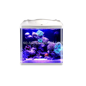 Haanta Kalluunka ee Sunsun Acrylic iyo Dest Aquarium